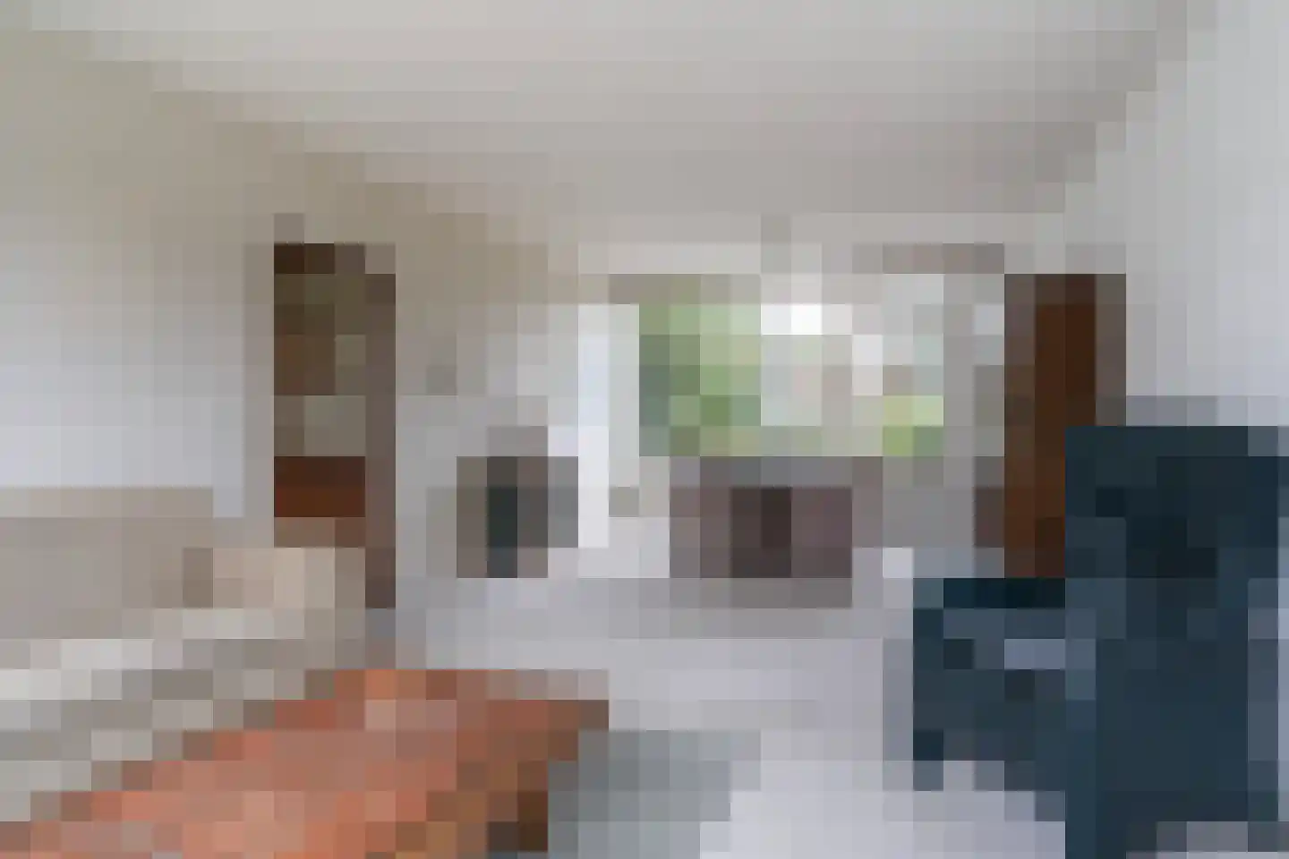 Meeuwenlaan 48 Sneek thumbnail 8