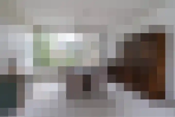 Meeuwenlaan 48 Sneek thumbnail 9