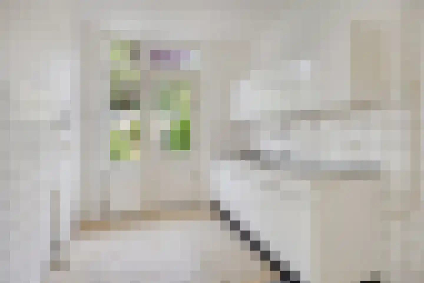 Meeuwenlaan 5 Leiderdorp thumbnail 10
