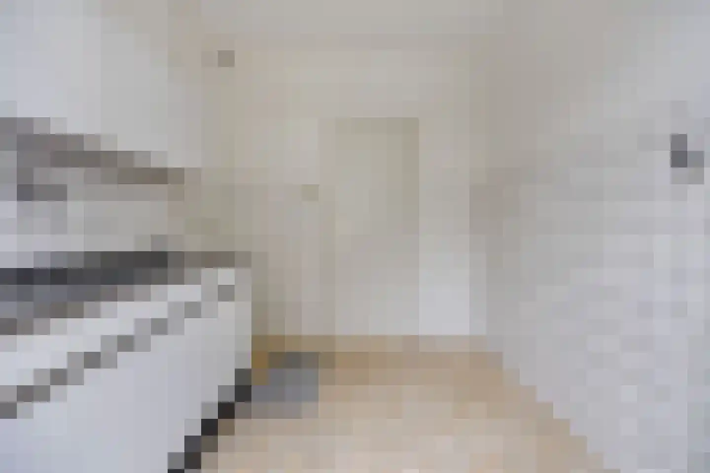 Meeuwenlaan 5 Leiderdorp thumbnail 11