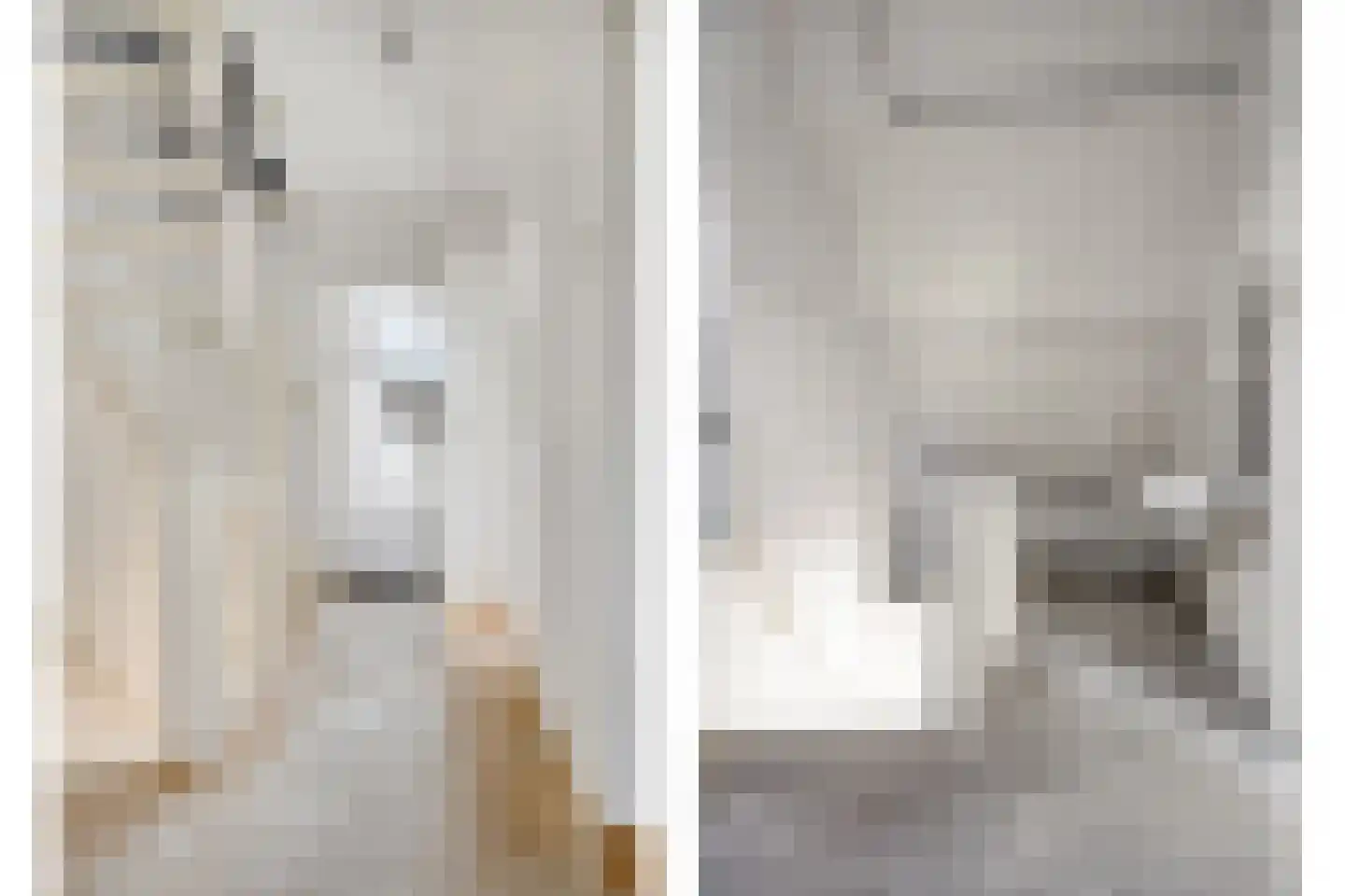Meeuwenlaan 5 Leiderdorp thumbnail 12