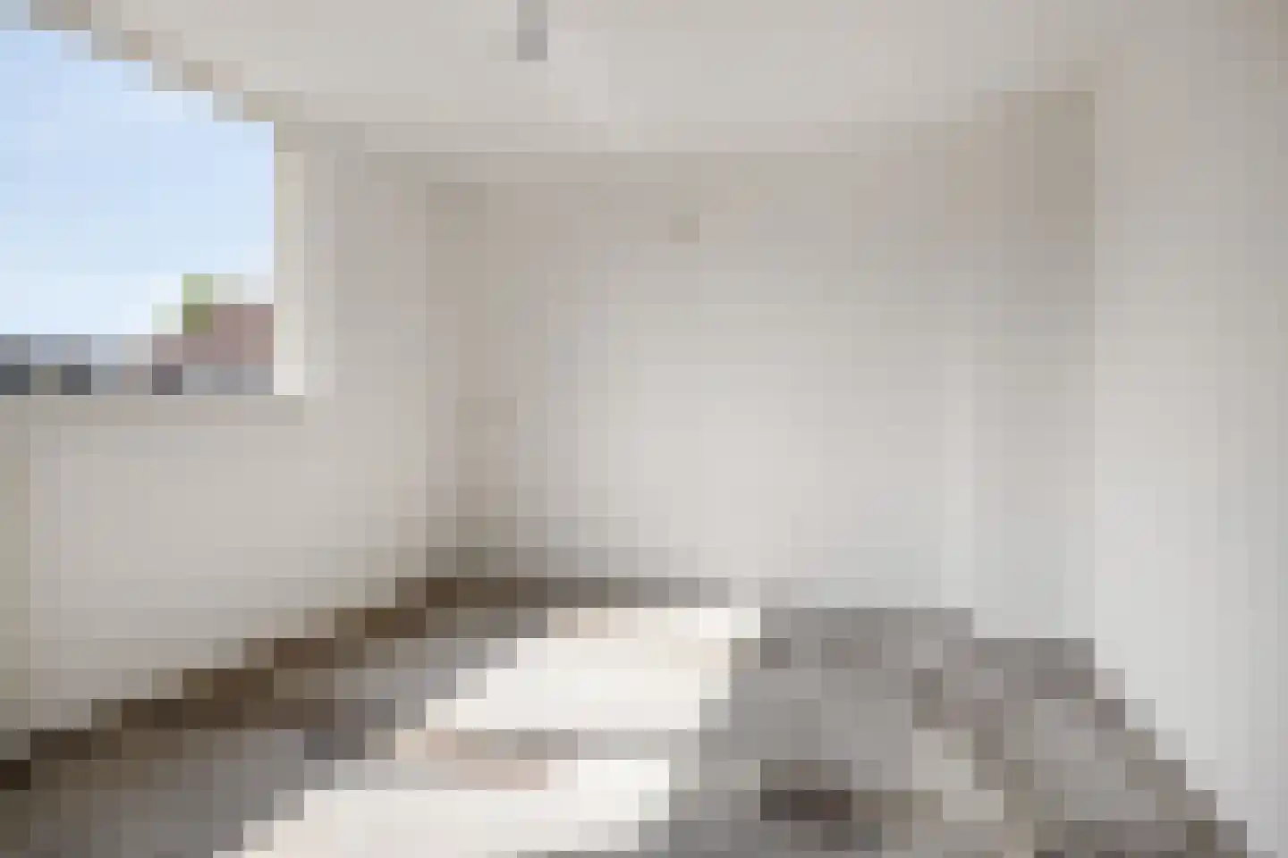Meeuwenlaan 5 Leiderdorp thumbnail 14