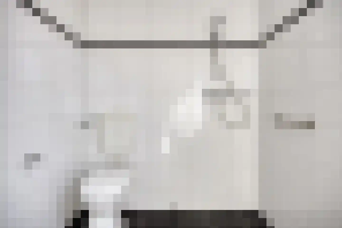 Meeuwenlaan 5 Leiderdorp thumbnail 18
