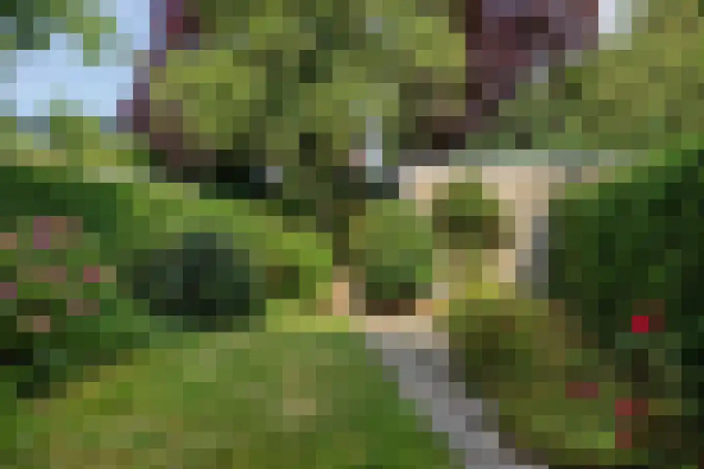 Meeuwenlaan 5 Leiderdorp thumbnail 23