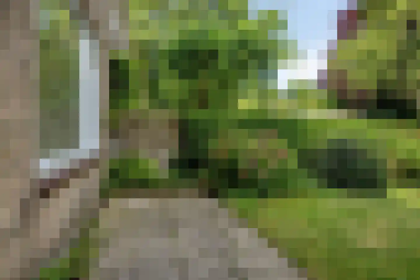 Meeuwenlaan 5 Leiderdorp thumbnail 24