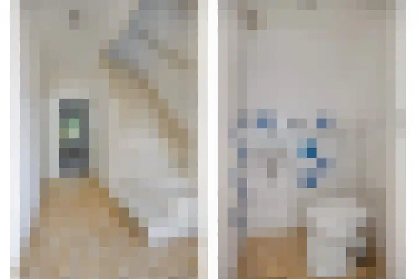Meeuwenlaan 5 Leiderdorp thumbnail 4