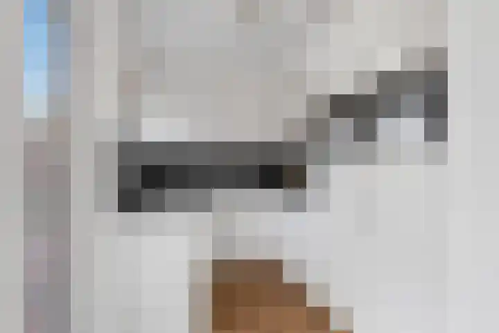 Meeuwenlaan 5 Lopik thumbnail 21