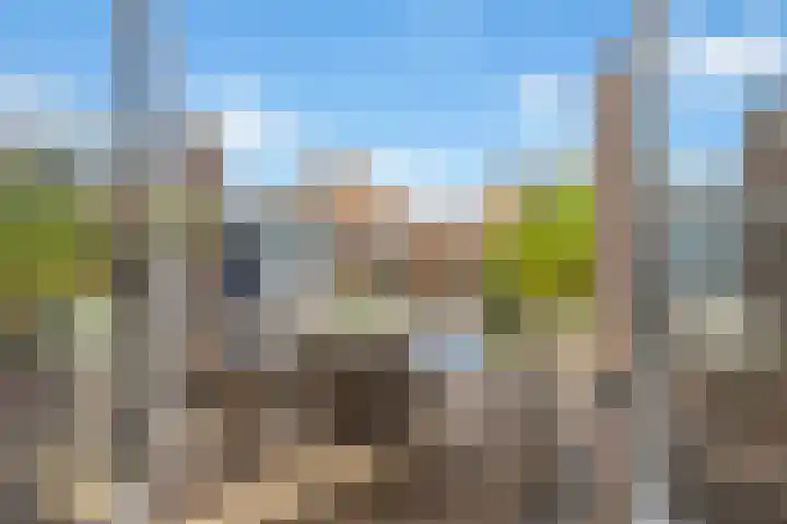 Meeuwenlaan 5 Lopik foto 3