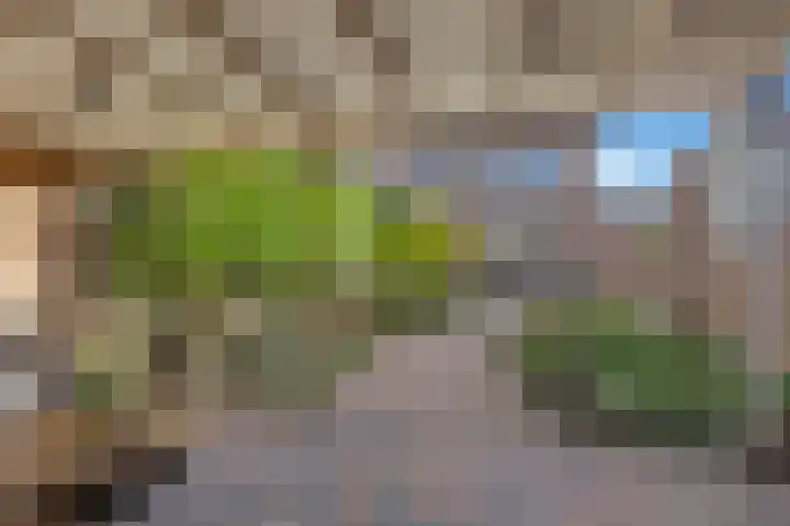 Meeuwenlaan 5 Lopik thumbnail 45