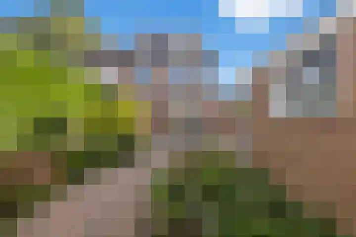 Meeuwenlaan 5 Lopik thumbnail 46