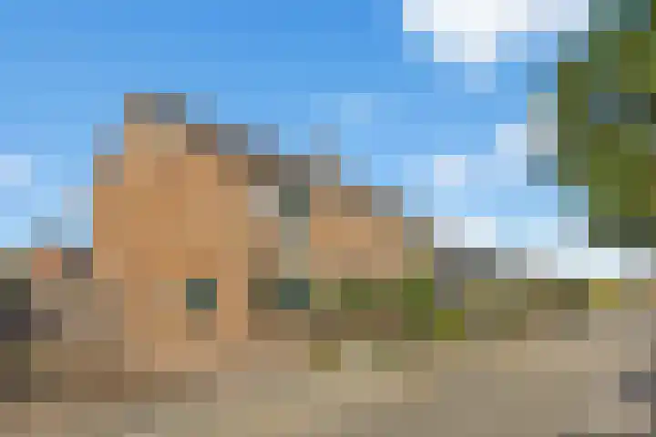 Meeuwenlaan 5 Lopik thumbnail 50