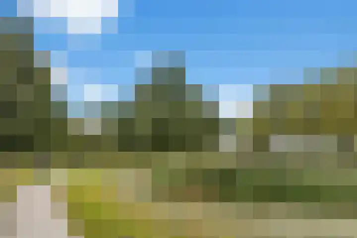 Meeuwenlaan 5 Lopik thumbnail 52