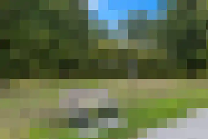 Meeuwenlaan 5 Lopik thumbnail 53