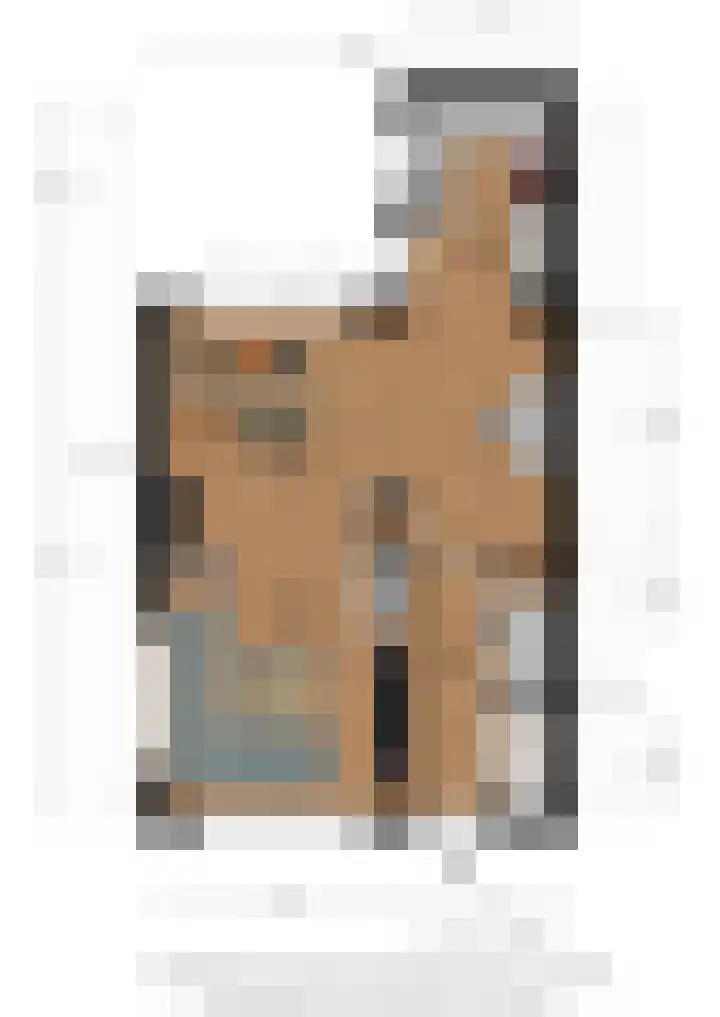Meeuwenlaan 5 Lopik thumbnail 56