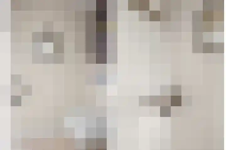 Meeuwenlaan 5 Lopik thumbnail 7