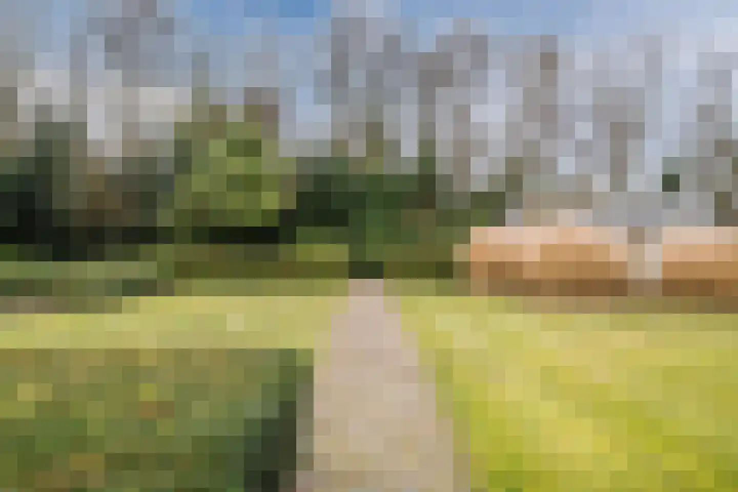 Meeuwenlaan 51 Egmond-Binnen thumbnail 31