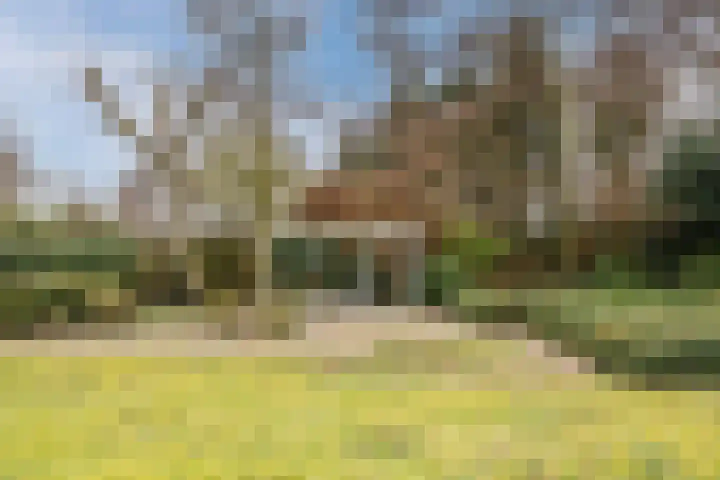 Meeuwenlaan 51 Egmond-Binnen thumbnail 35