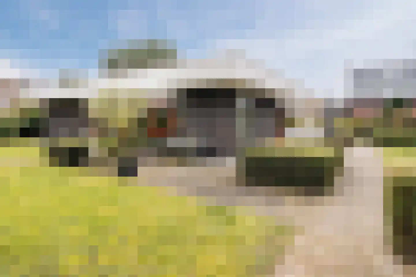 Meeuwenlaan 51 Egmond-Binnen thumbnail 36