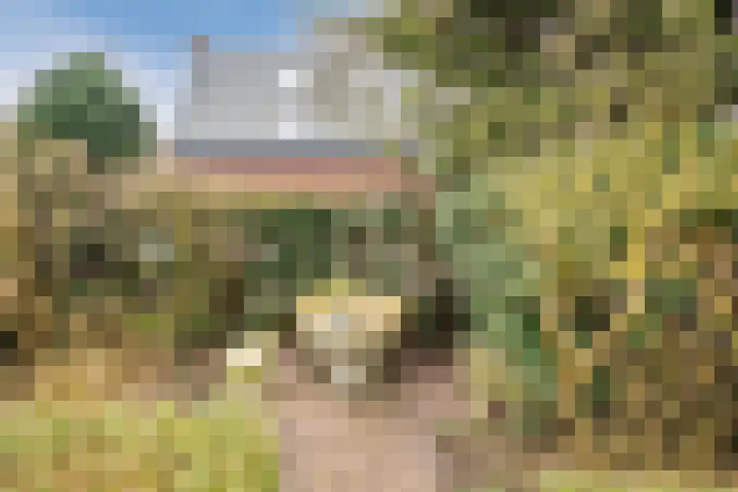 Meeuwenlaan 51 Egmond-Binnen thumbnail 38