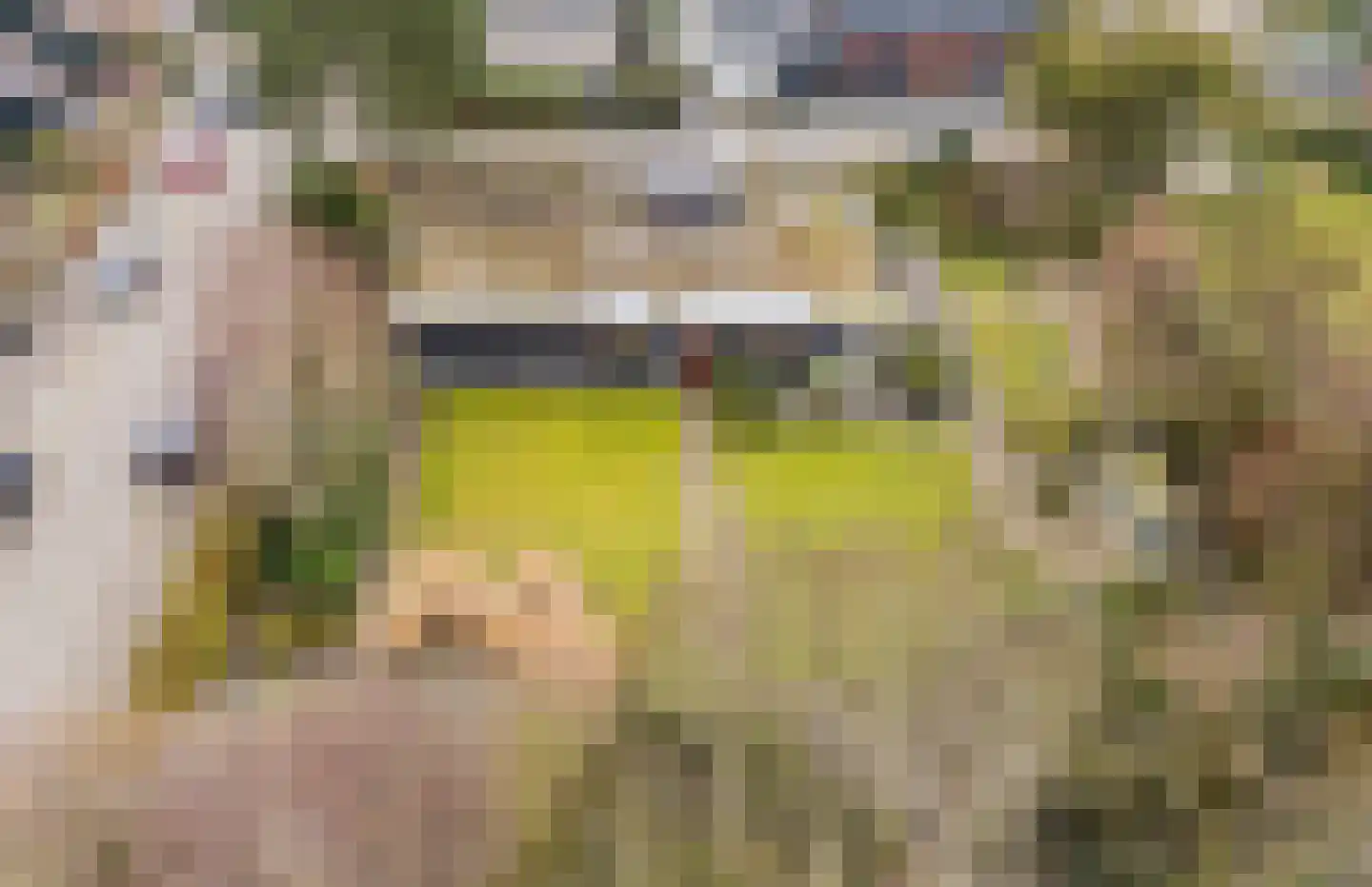Meeuwenlaan 51 Egmond-Binnen thumbnail 39
