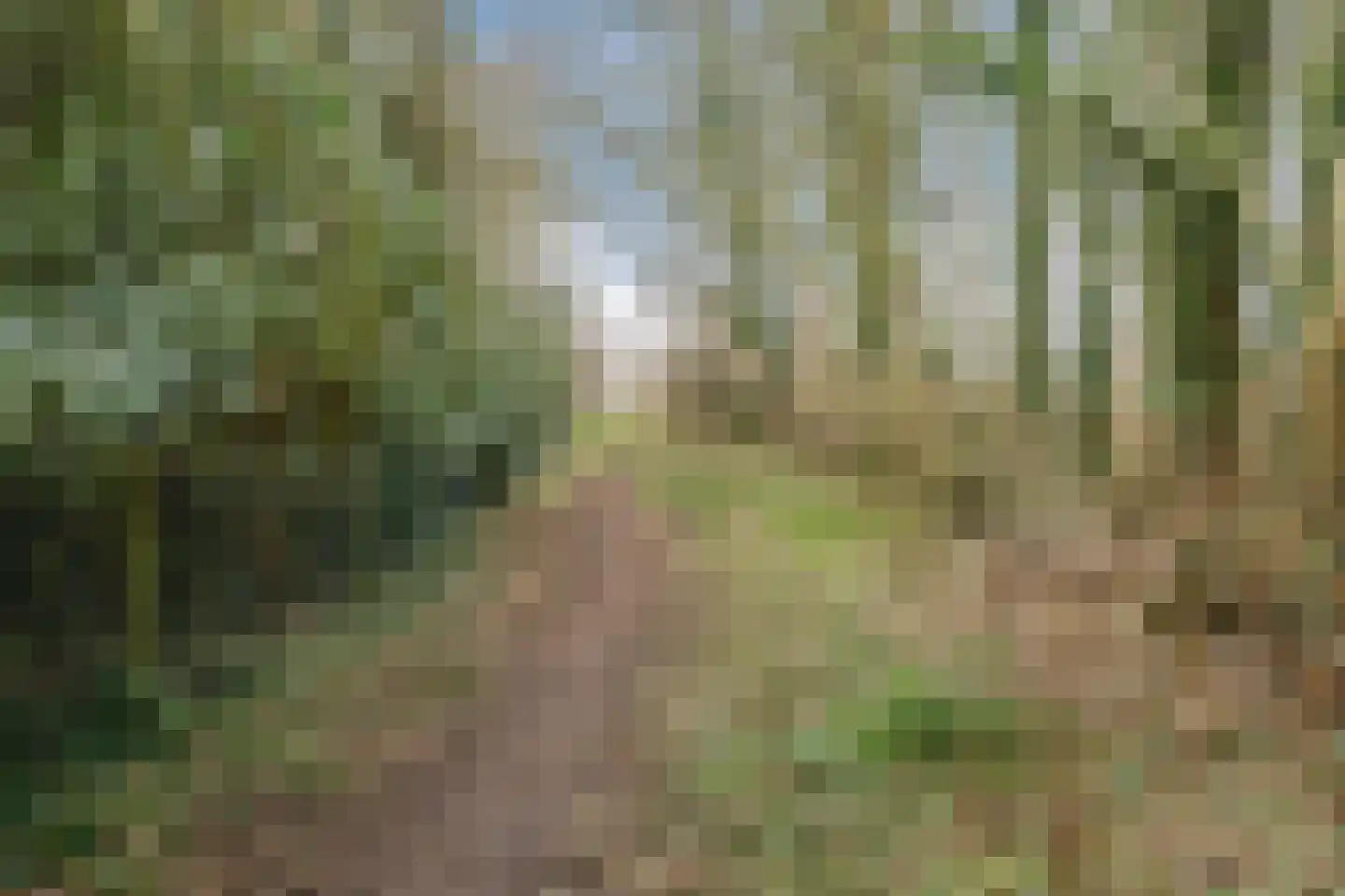 Meeuwenlaan 51 Egmond-Binnen thumbnail 41