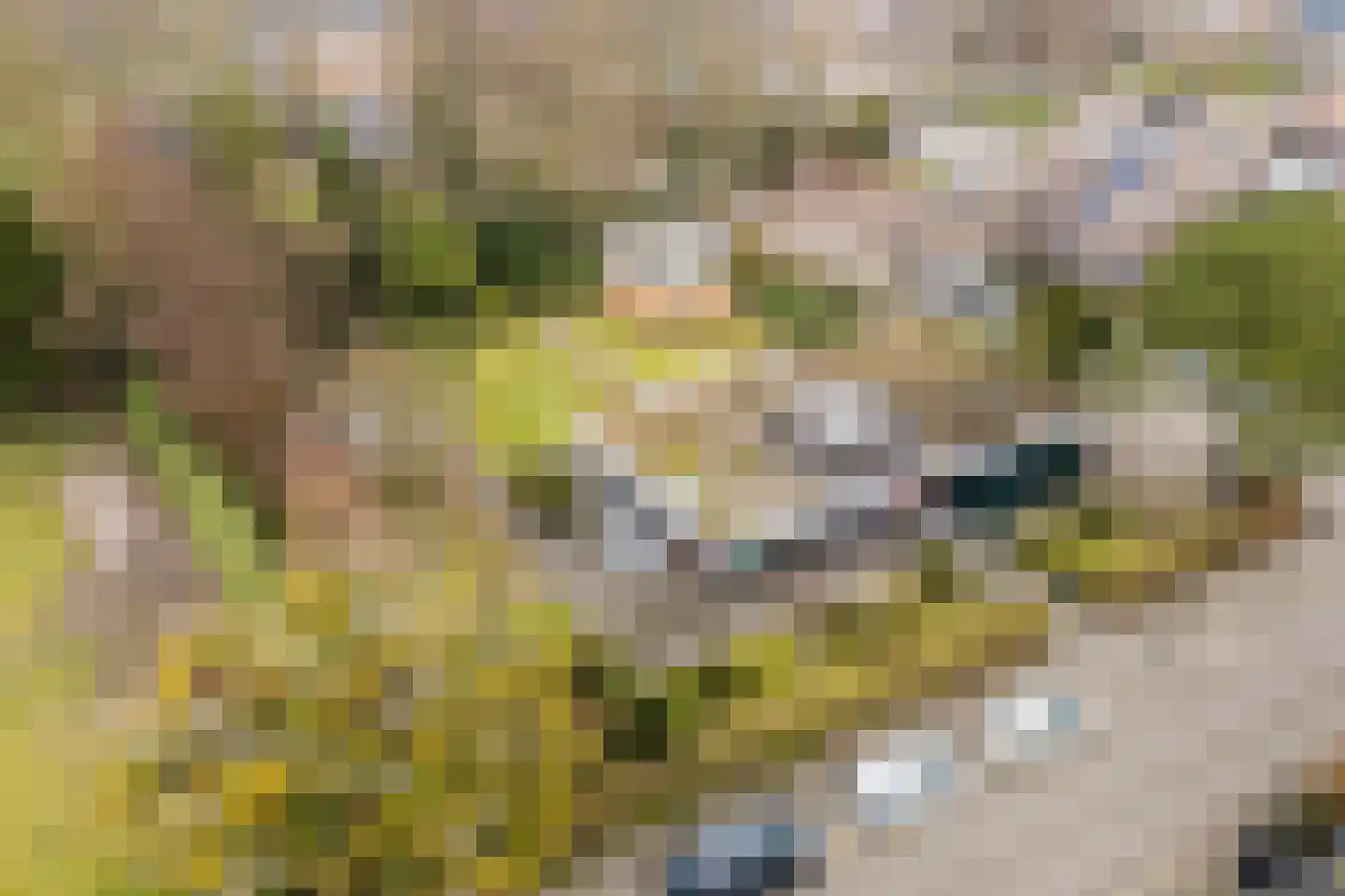 Meeuwenlaan 51 Egmond-Binnen thumbnail 6