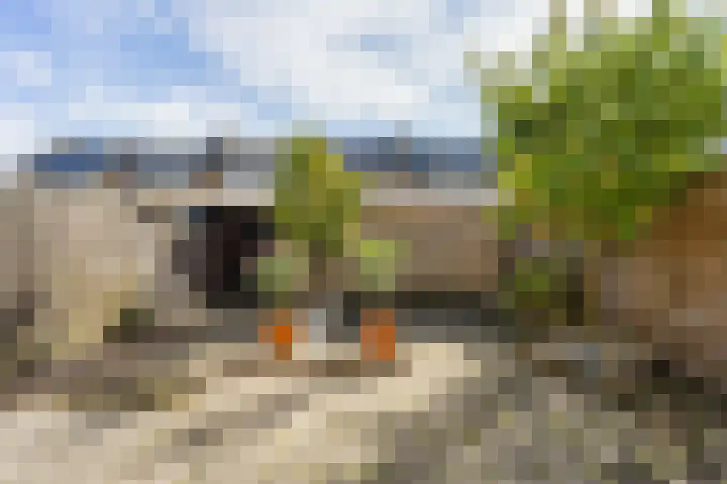 Meeuwenlaan 54 Enkhuizen thumbnail 26