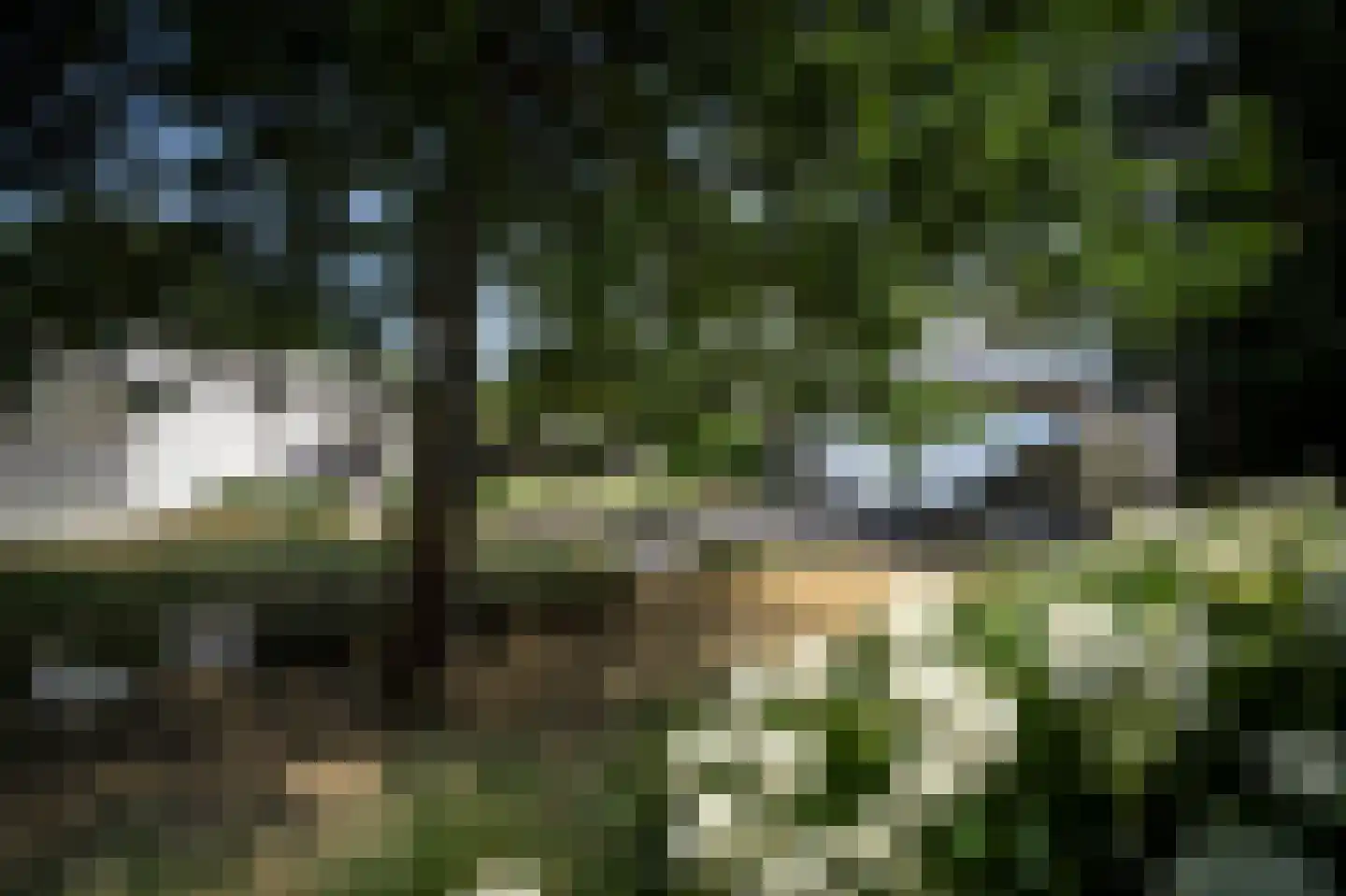 Meeuwenlaan 55 Vinkeveen thumbnail 25