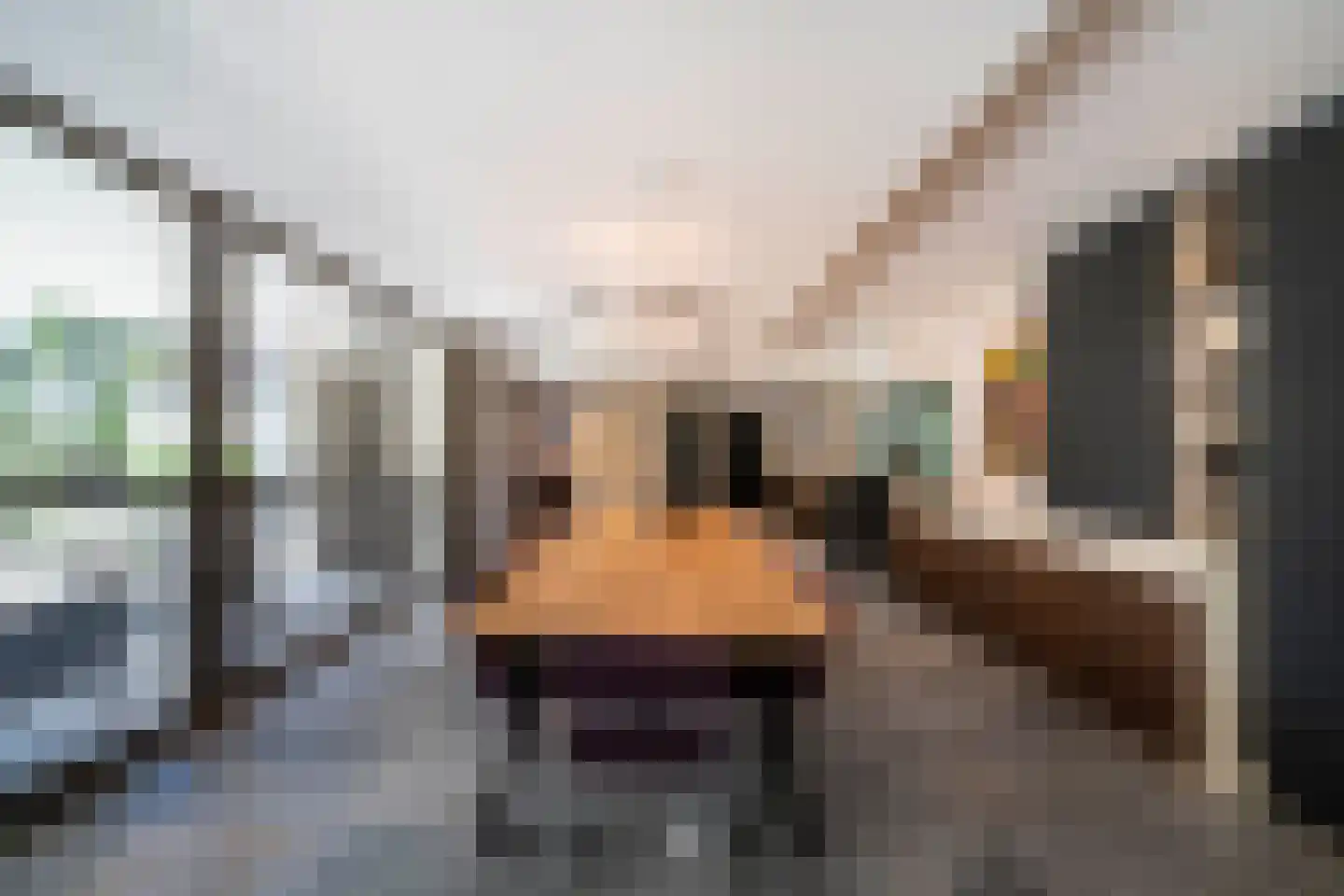 Meeuwenlaan 55 Vinkeveen thumbnail 27