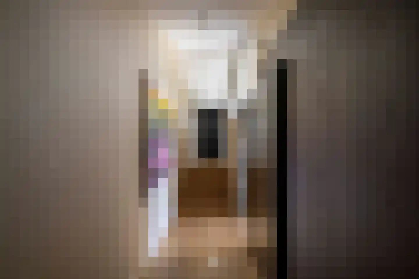 Meeuwenlaan 55 Vinkeveen thumbnail 33