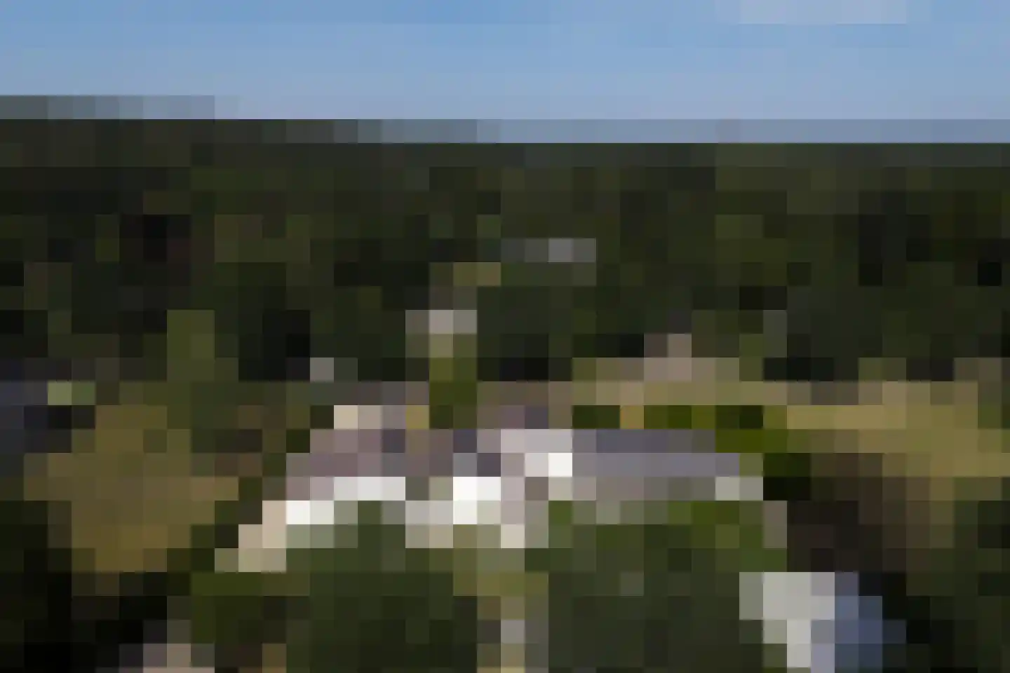 Meeuwenlaan 55 Vinkeveen thumbnail 34