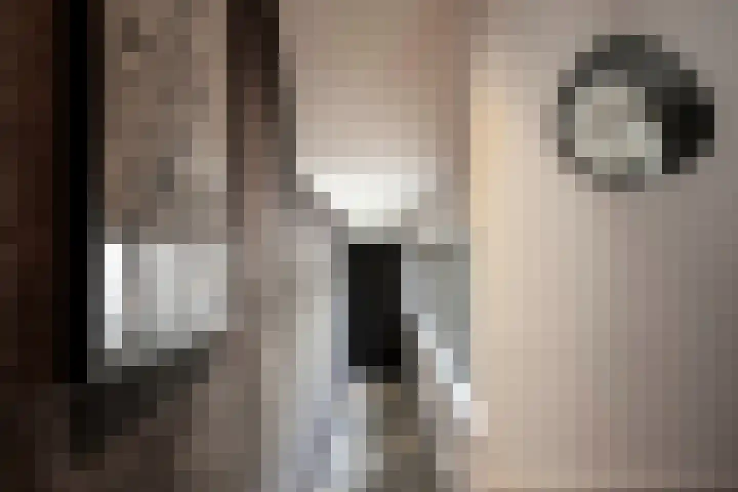 Meeuwenlaan 55 Vinkeveen thumbnail 4