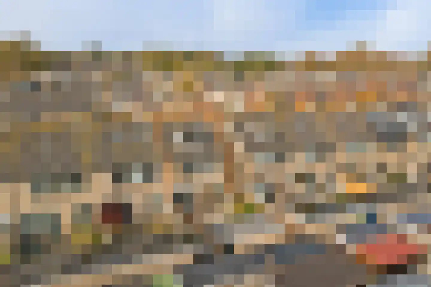 Meeuwenlaan 56 Enkhuizen thumbnail 10