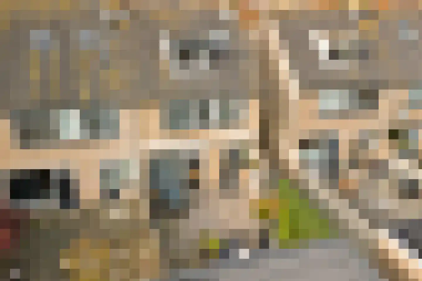Meeuwenlaan 56 Enkhuizen thumbnail 34