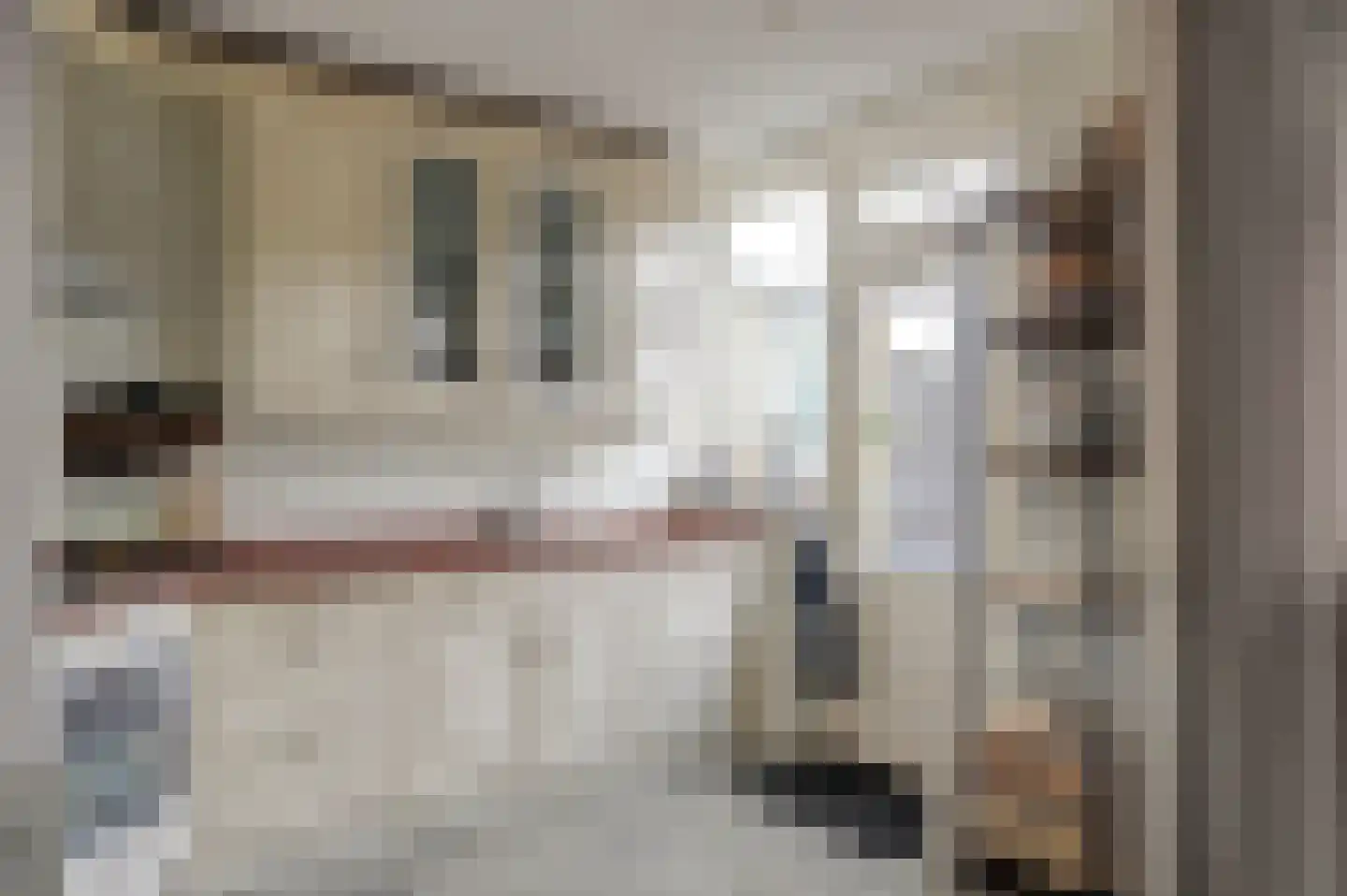 Meeuwenlaan 56 Enkhuizen thumbnail 5