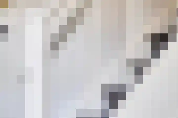 Meeuwenlaan 57 Sneek thumbnail 11