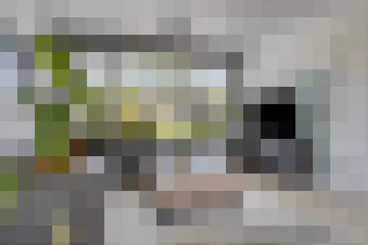 Meeuwenlaan 57 Sneek thumbnail 12
