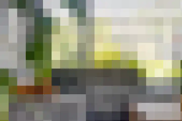 Meeuwenlaan 57 Sneek thumbnail 14