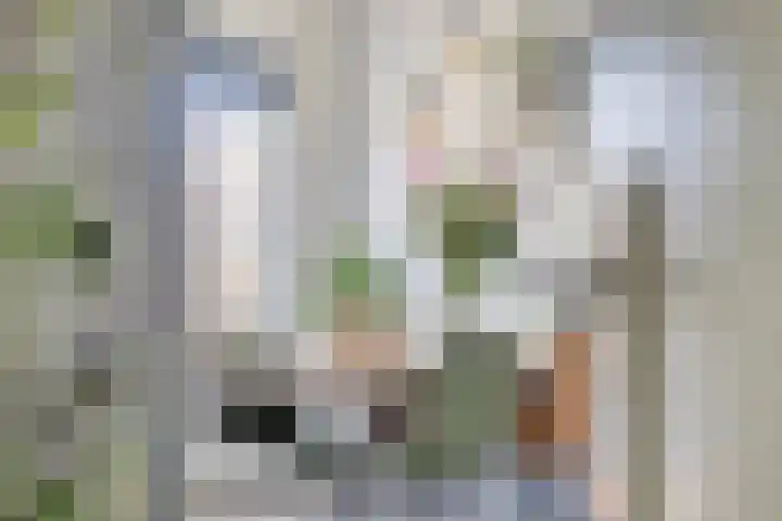 Meeuwenlaan 57 Sneek thumbnail 15