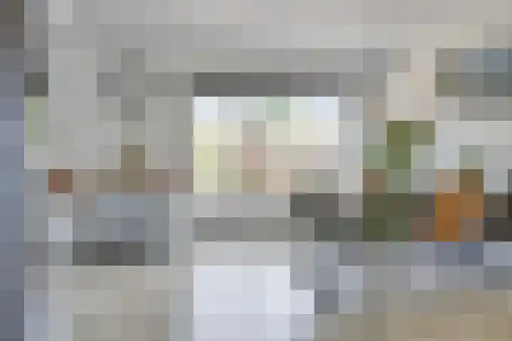 Meeuwenlaan 57 Sneek thumbnail 16
