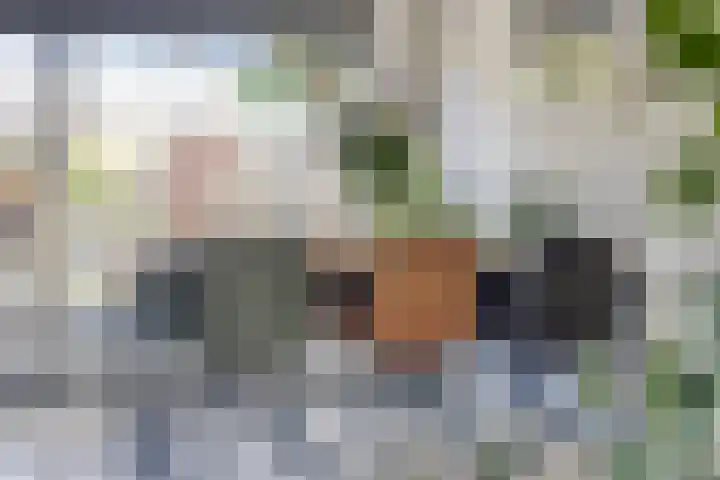 Meeuwenlaan 57 Sneek thumbnail 17