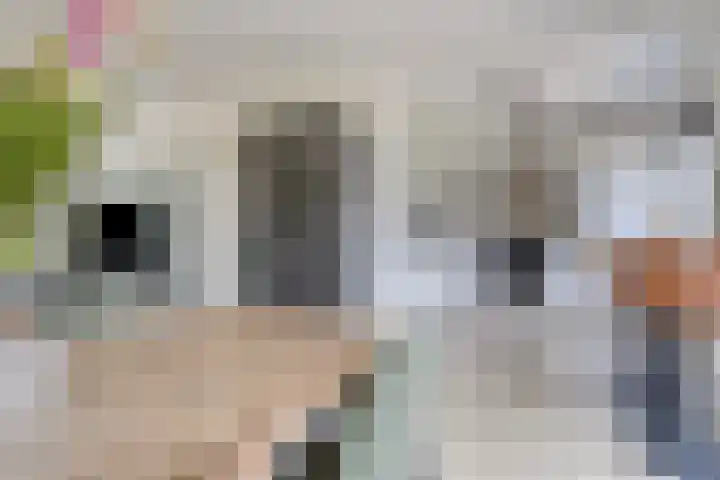 Meeuwenlaan 57 Sneek thumbnail 18