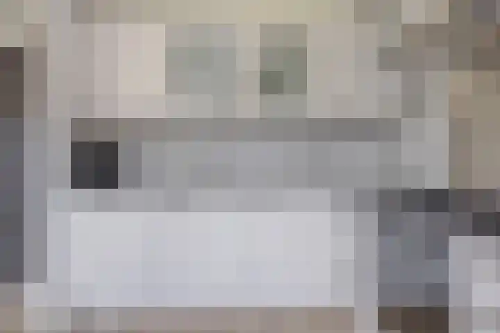 Meeuwenlaan 57 Sneek thumbnail 19