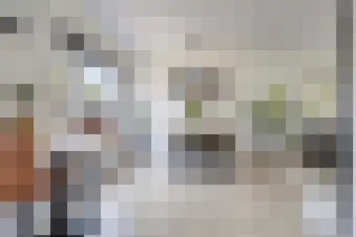 Meeuwenlaan 57 Sneek thumbnail 20