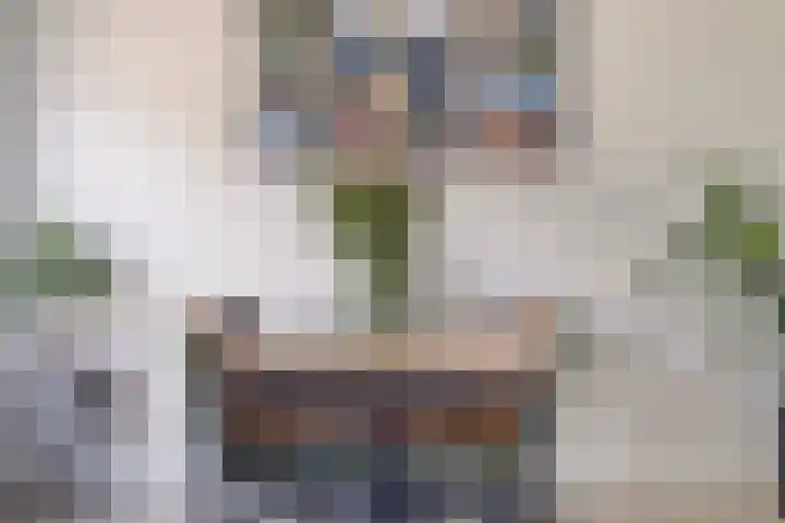 Meeuwenlaan 57 Sneek thumbnail 21