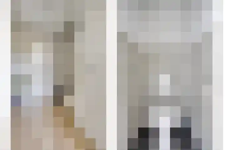 Meeuwenlaan 57 Sneek thumbnail 23