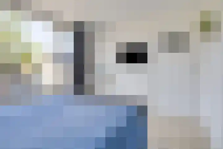 Meeuwenlaan 57 Sneek thumbnail 26