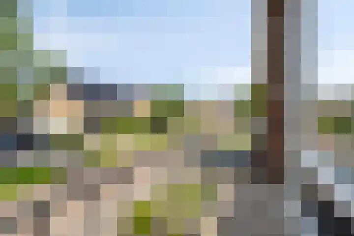 Meeuwenlaan 57 Sneek thumbnail 27