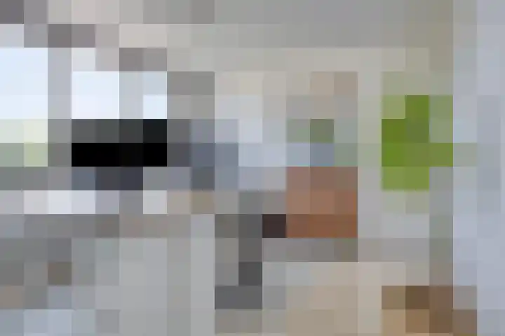 Meeuwenlaan 57 Sneek thumbnail 30