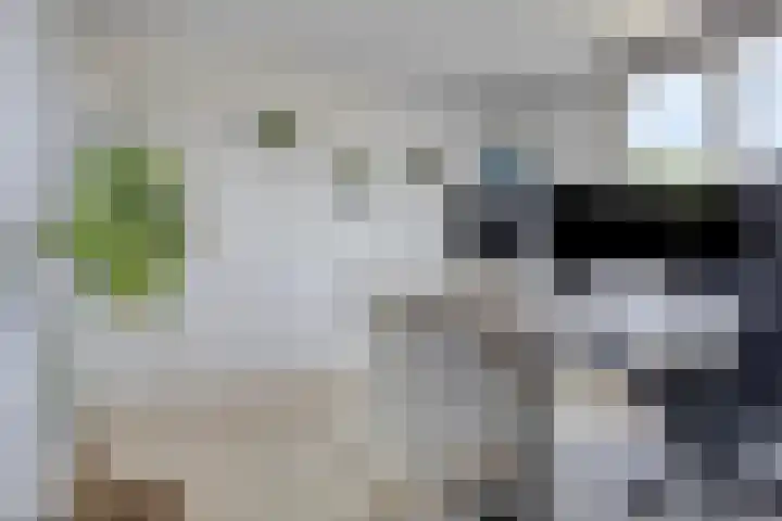 Meeuwenlaan 57 Sneek thumbnail 31